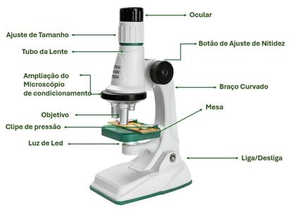 Imagem de Microscópio Juvenil Portátil Óptico 3 Lentes 1200x - Rignel