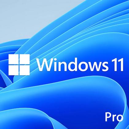 Imagem de Microsoft Windows 11 Pro, 64 Bits, FPP - Mídia Física