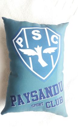 Imagem de Mini almofada com escudo e hino do seu time do coração