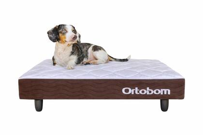 Imagem de Mini Base Pet Camurça Marrom