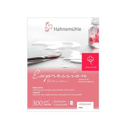 Imagem de Mini Bloco Papel Expression Hahnemühle 300g C/12 Fls 98183