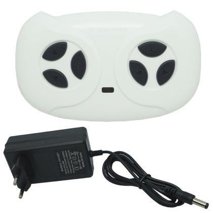 Imagem de Mini Jipe Elétrico Infantil Criança 12V com Controle Remoto Luz Som Usb Mp3 Carro Importway BW028