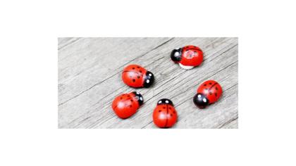 Imagem de Mini Joaninha 3d Decoração Jardim, Vasos - 50 Unidades