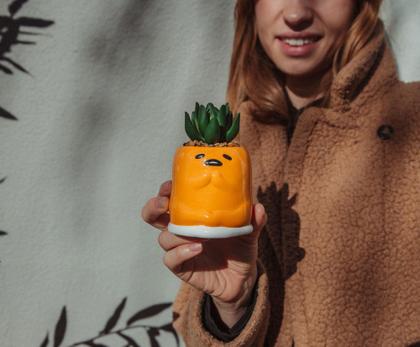 Imagem de Mini plantador de cerâmica Silver Buffalo Sanrio Gudetama 8cm