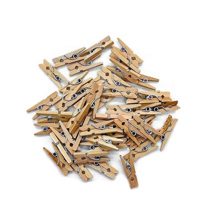 Imagem de Mini Pregador Prendedor 100 Unidades