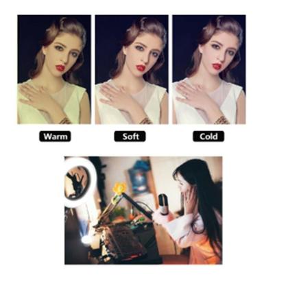 Imagem de Mini Tripe Iluminador Ring Light 20cm com Suporte Celular Universal Selfie Youtuber Gravação C/ SUPORTE - 20 CM