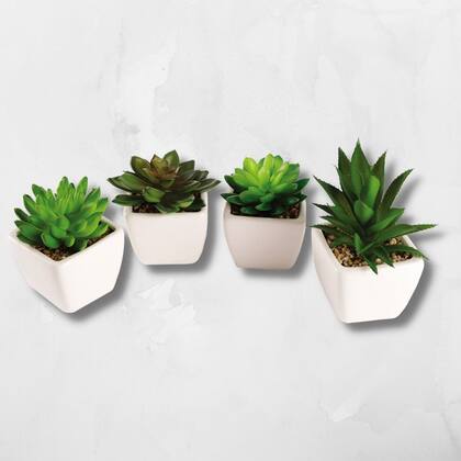 Imagem de Mini Vaso Suculenta Decorativo Cachepot p/ Plantas e Flores