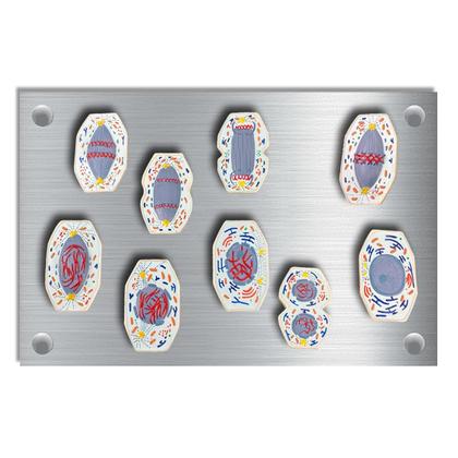 Imagem de Mitoses Conjunto Ampliado 10.000X com 9 peças