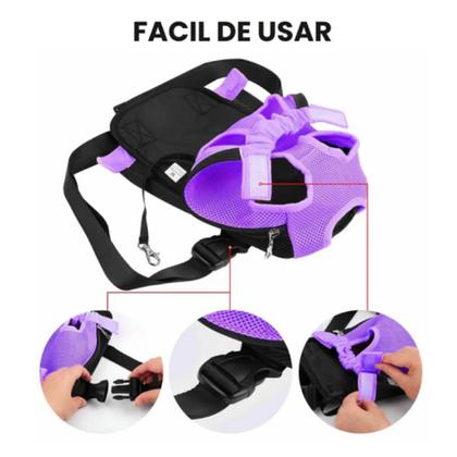 Imagem de Mochila Canguru Animais Gato Cachorro Pet Domesticos Passeio Caminhada Ar Livre Bichos Pequeno Medio Porte