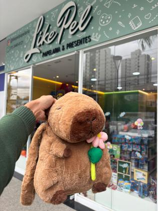 Imagem de Mochila Capivara Pequena de Pelúcia com Flor - Infantil e Adolescente