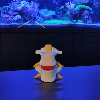 Imagem de Modelo Anatômico Hérnia Disco Lombar Coluna Vertebral Ortopedia 3D