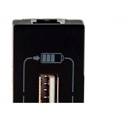 Imagem de Modulo Pial Plus+ Preto 1Tomada  Usb 1100Ma88Pt