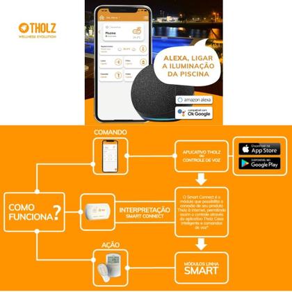 Imagem de Módulo WiFi Smart Connect para Automação de Controladores de Piscina - Tholz