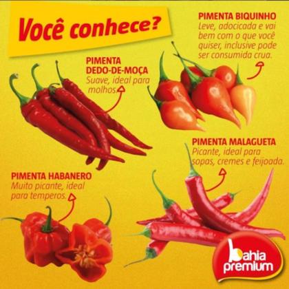 Imagem de Molho Pimenta Cremosa Com Ervas Finas Picancia Intensa 80ml Bahia Premium Até 4 Sabores