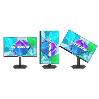 Imagem de Monitor Concórdia P2404 24'' IPS HDMI DP VGA e 4 USB 3.2 Com Ajuste de Altura e Rotação
