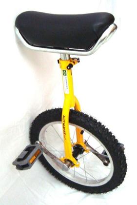 Imagem de Monociclo 1 Roda - Bicicleta De Circo Aro 16 - Altmayer