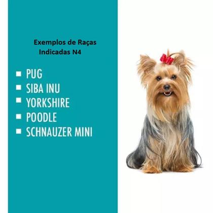 Imagem de Mordedor Galinha Pet Interativo + Casinha Azul Pet N4 Dog