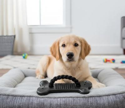 Imagem de Mordedor Osso Com Corda Brinquedo para Cães