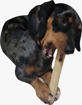 Imagem de Mordedor woodnpets brinquedo sustentavel rustico peq amicus