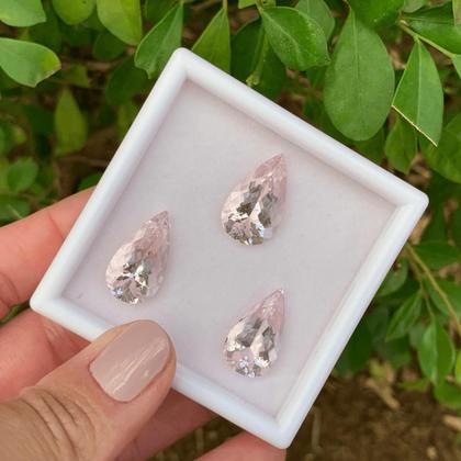 Imagem de Morganita Gota Lágrima SET 26,66ct