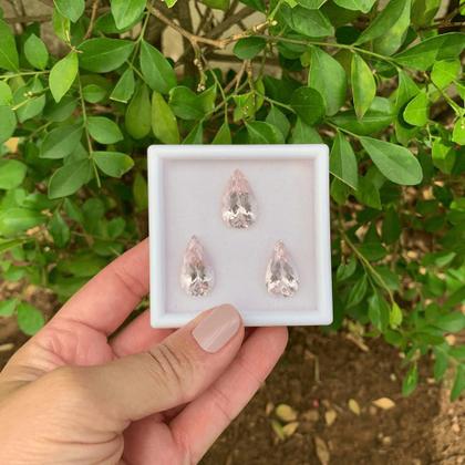 Imagem de Morganita Gota Lágrima SET 26,66ct