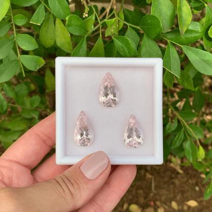 Imagem de Morganita Gota Lágrima SET 26,66ct