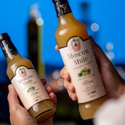 Imagem de Moscow mule - xarope de frutas flipdrinks 250ml