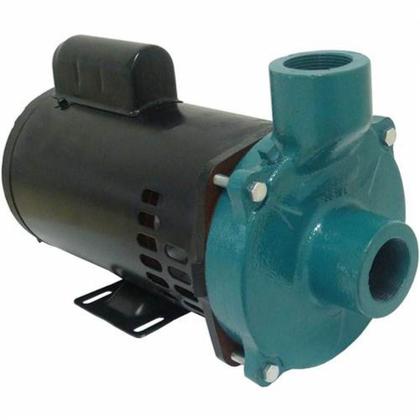 Imagem de Motobomba Centrífuga Eletroplas Ecs-200M/T Mono Bivolt 2 Cv