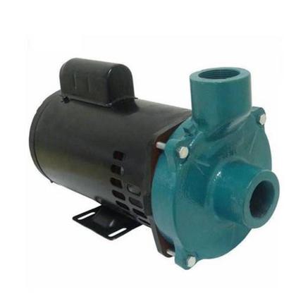 Imagem de Motobomba Centrífuga Eletroplas Ecs-200M/T Mono Bivolt 2 Cv
