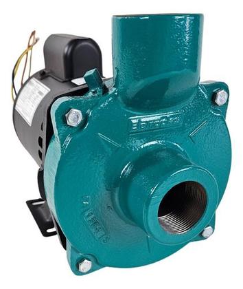 Imagem de Motobomba Centrífuga Monoestágio 1cv Eletroplas 14mca