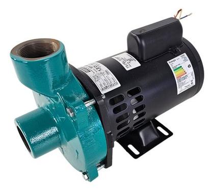 Imagem de Motobomba Centrífuga Monoestágio 1cv Eletroplas 14mca