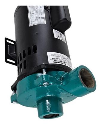 Imagem de Motobomba Centrífuga Monoestágio 2cv Eletroplas 20mca