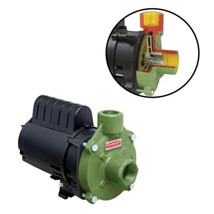 Imagem de Motobomba Centrífuga Schneider BC-91S 0,5M 1/2cv 220 Volts