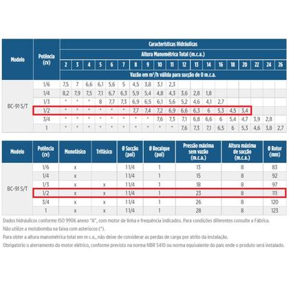 Imagem de Motobomba Centrífuga Schneider BC-91S 0,5M 1/2cv 220 Volts