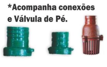 Imagem de Motobomba Diesel Centrífuga 2.1/2X2'' 7CV P Elétrica Buffalo
