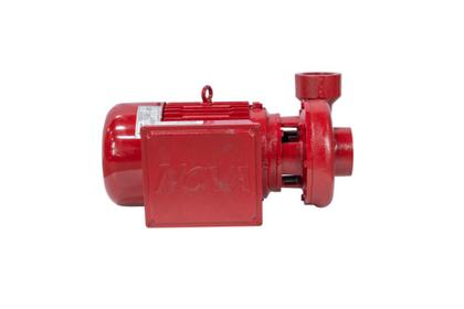 Imagem de Motobomba Incêndio 15cv 60Hz Trifásico 220/380V ECS-1500IN Eletroplas