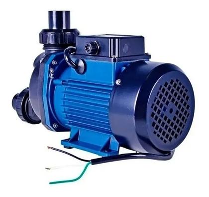 Imagem de Motobomba Para Hidromassagem 1cv Eletroplas 127v Ech-100i