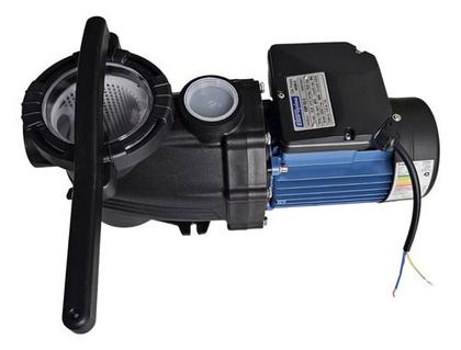 Imagem de Motobomba Para Piscina 1/3 Cv Eletroplas Com Pré Filtro 220