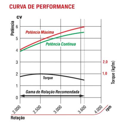 Imagem de Motor à Gasolina 6,0CV Eixo Vertical B4T-6.0 Branco