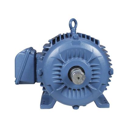 Imagem de Motor Elétrico Trifásico 15CV 4P Weg 220/380V Blindado