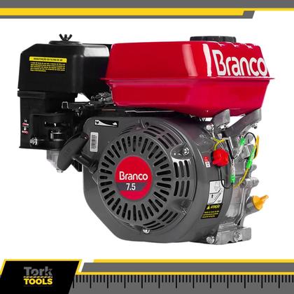 Imagem de Motor Partida Manual 4,5cv 224cc B4t-7.5 5hp Branco Motores