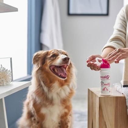 Imagem de Mousse Ceva Douxo S3 Calm para Cães e Gatos 150ml