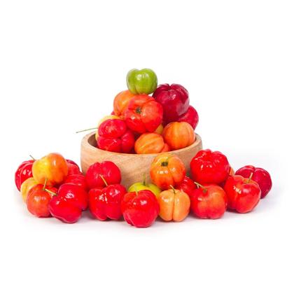 Imagem de Muda De Acerola 1 Metro Produzindo - Fácil Plantio
