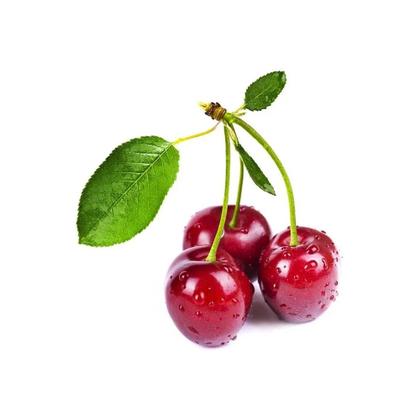 Imagem de Muda de Cereja Europeia 50 a 80cm AMK - Plantas Online