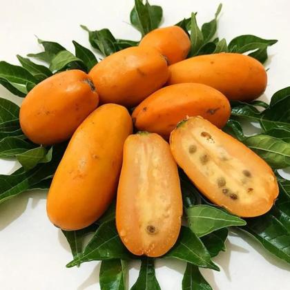 Imagem de Muda De Jaracatiá