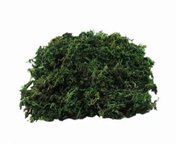Imagem de Musgo Artificial P/ Arranjos e Jardins 4 Litro