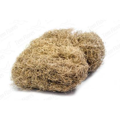 Imagem de Musgo Branco Pc 2 Lts Para Orquideas e Decoração Substrato