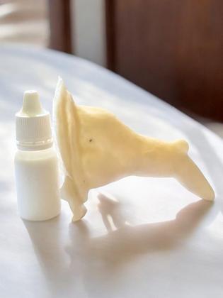 Imagem de Nariz bruxa com verruga Prótese de látex + látex cola 10ml