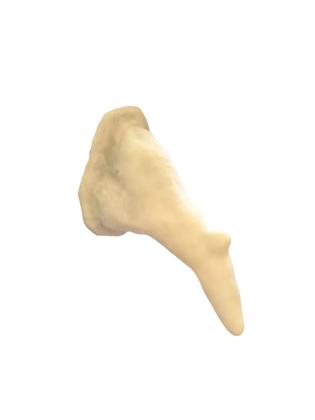 Imagem de Nariz bruxa com verruga Prótese de látex + látex cola 10ml