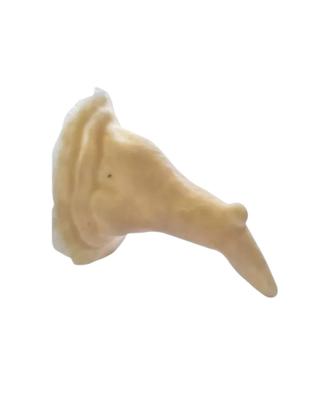 Imagem de Nariz bruxa com verruga Prótese de látex + látex cola 10ml